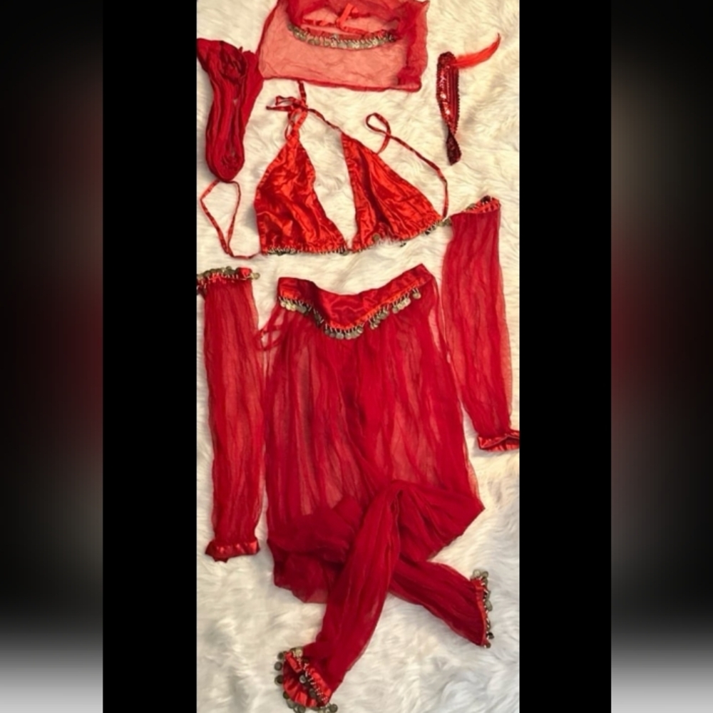 Belly Dancer Costume (M/L)